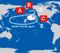 the great pacific gyre