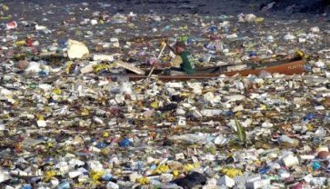 a land inhabitant inspects some floating trash